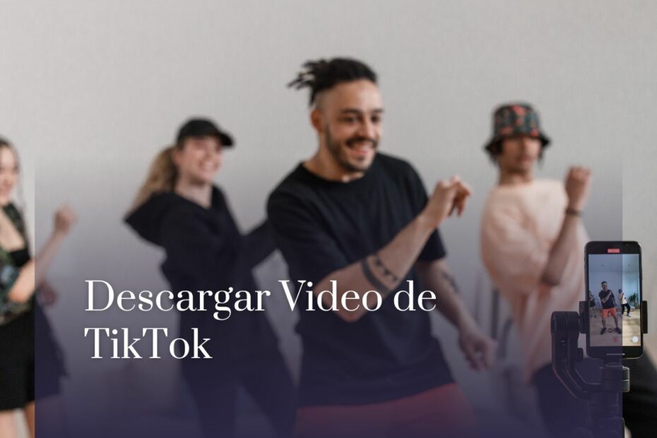 Descargar Video de TikTok