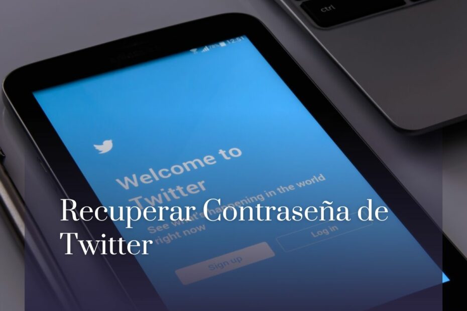 Recuperar Contraseña de Twitter