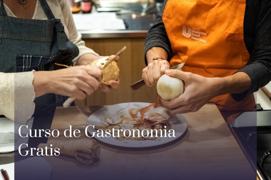 Curso de Gastronomia Gratis